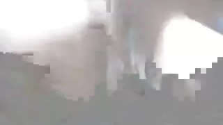 آج رات کی گرل فرینڈ کی طرف سے دلکش اپریل ونیل کے ساتھ زبانی فلم